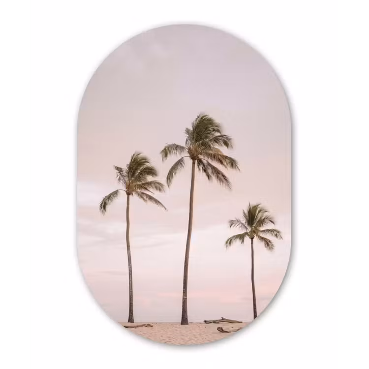 Palmbomen - Zonsondergang - Roze Wandcirkel Ovaal Forex klein -3d