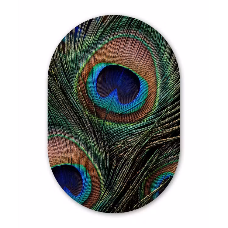 Pauwenveren - Klassiek - Groen Wandcirkel Ovaal Forex klein -3d