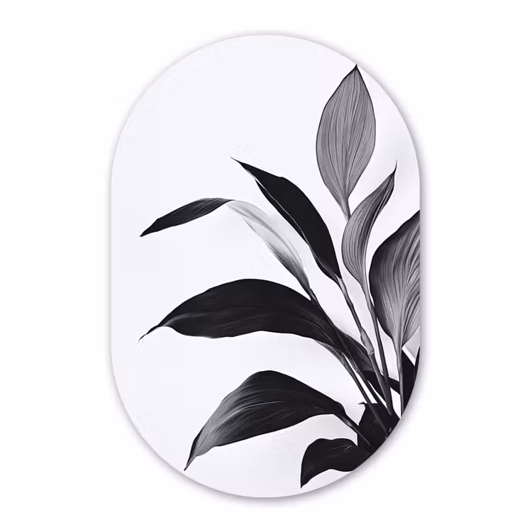 Plant - Bladeren - Minimalistisch - Zwart Wandcirkel Ovaal Forex klein -3d