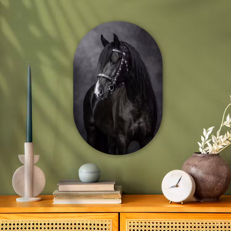 Portret - Paard - Zwart Wandcirkel Ovaal Forex klein -sfeer2