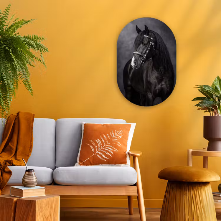 Portret - Paard - Zwart Wandcirkel Ovaal Forex klein -sfeer4