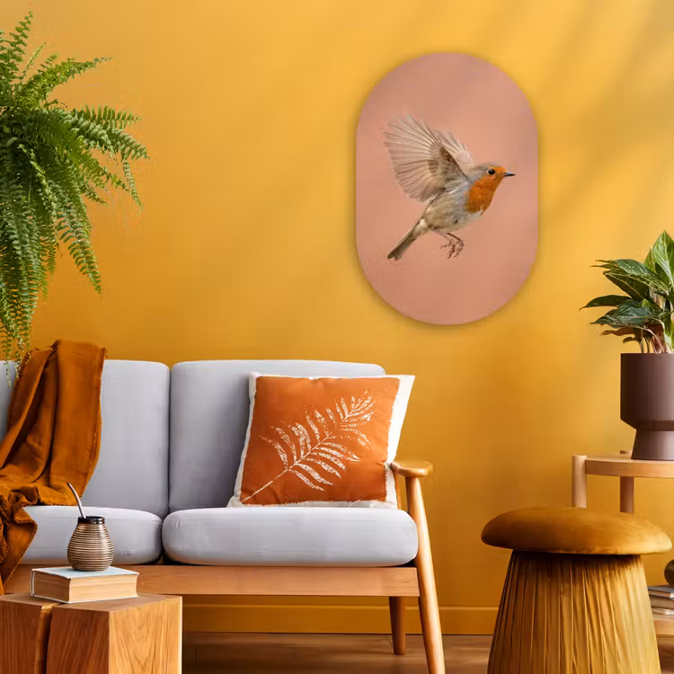 Roodborst - Natuur - Roze Wandcirkel Ovaal Forex klein -sfeer4