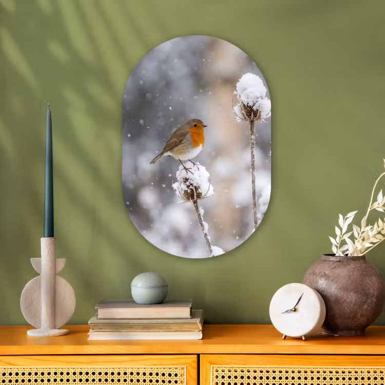 Roodborstje - Gedroogde bloem - Sneeuw - Winter - Vertederend Wandcirkel Ovaal Forex klein -sfeer2