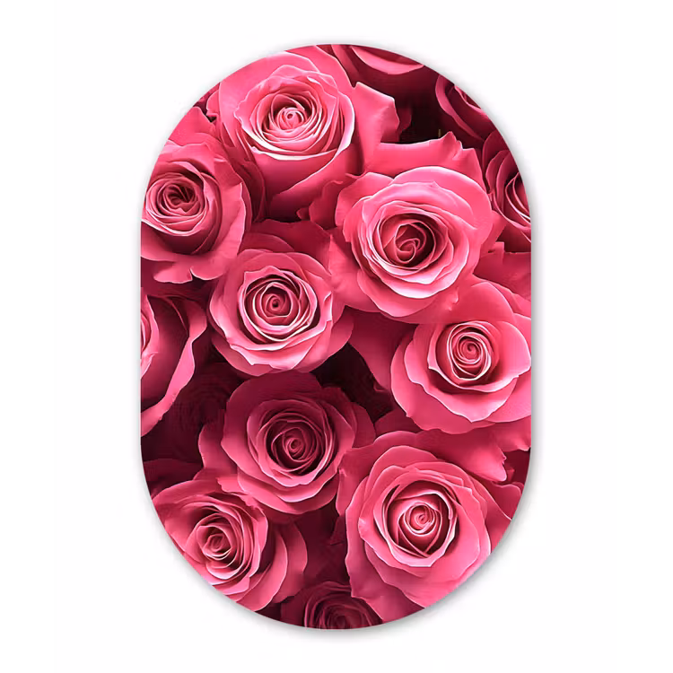 Rozen - Pink - Bloem Wandcirkel Ovaal Forex klein -3d