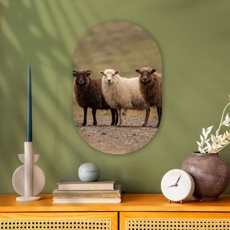 Schapen - Bruin - Wit - Grindpad Wandcirkel Ovaal Forex klein -sfeer2