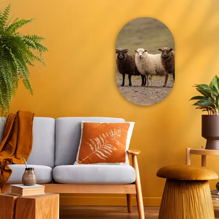 Schapen - Bruin - Wit - Grindpad Wandcirkel Ovaal Forex klein -sfeer4