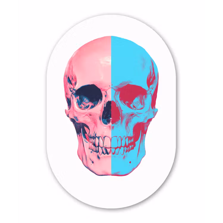 Schedel - Grafisch - Roze - Verdeeld Wandcirkel Ovaal Forex klein -3d