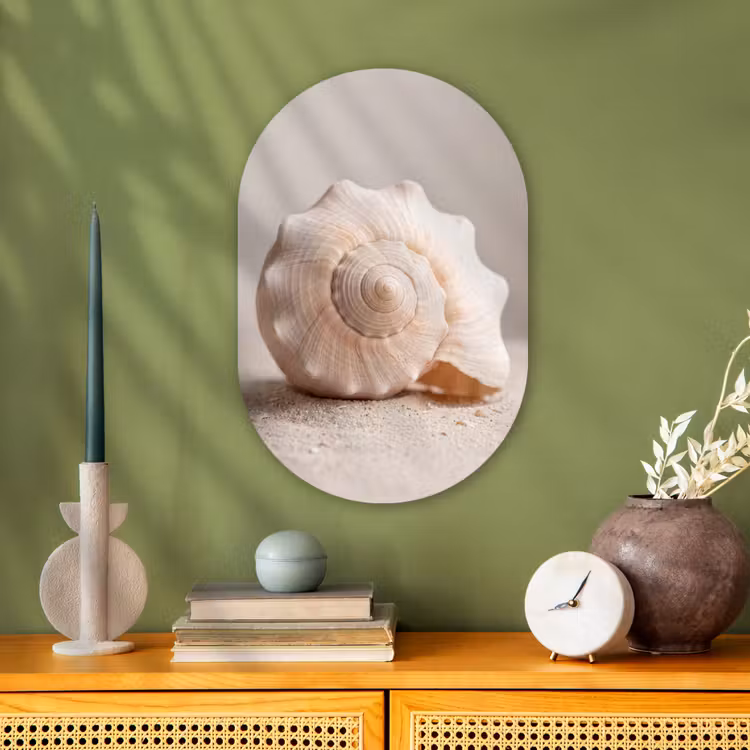 Schelp - Detail - Beige Wandcirkel Ovaal Forex klein -sfeer2