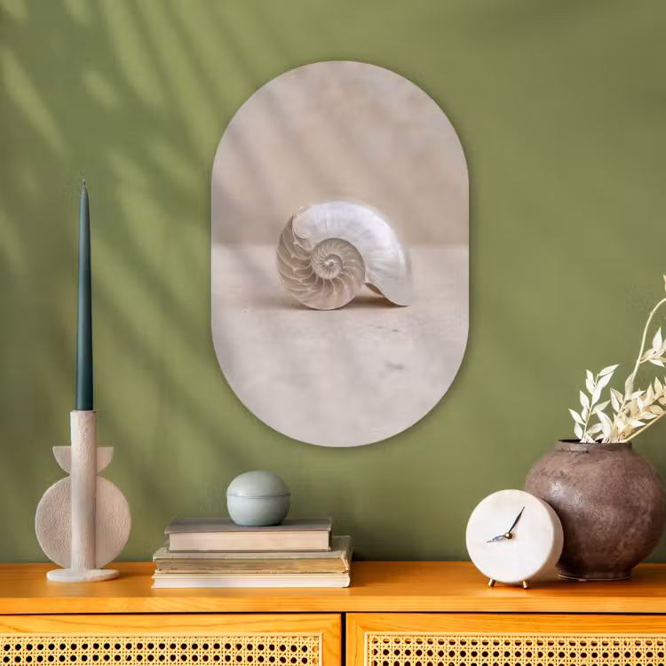Schelp - Spiraal - Beige Wandcirkel Ovaal Forex klein -sfeer2