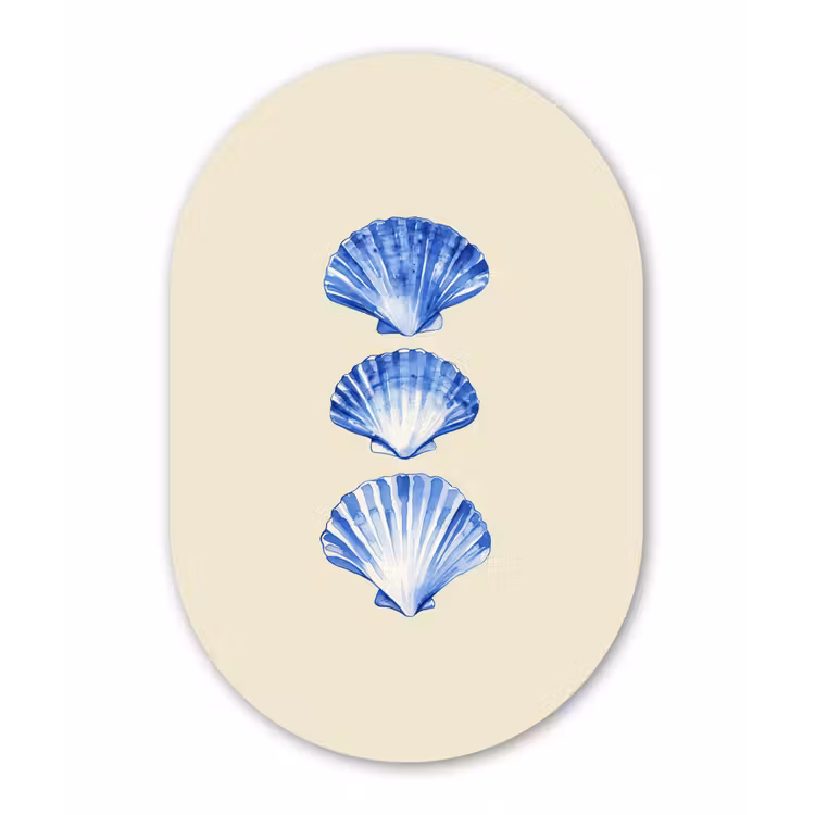 Schelpen - Blauw - Beige Wandcirkel Ovaal Forex klein -3d