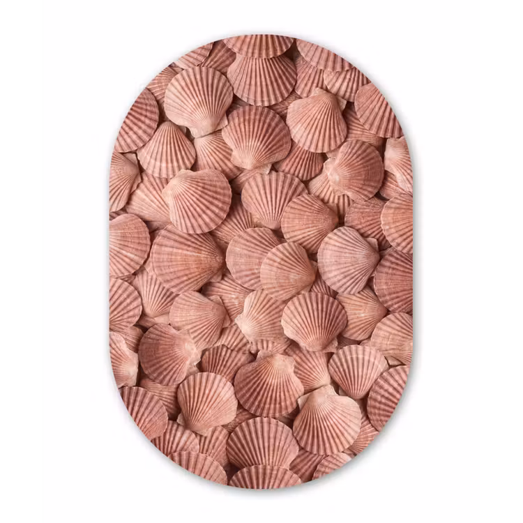 Schelpen - Patroon - Roze Wandcirkel Ovaal Forex klein -3d