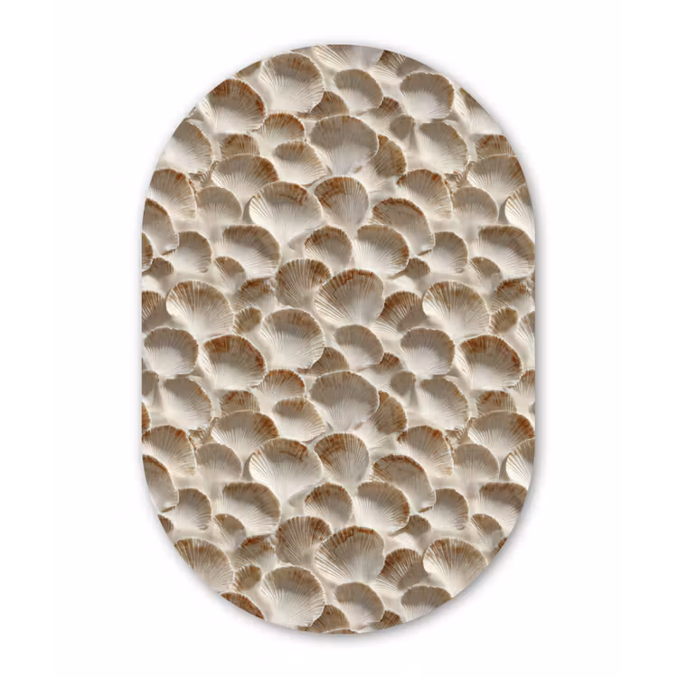 Schelpen - Waaiervorm - Wit Wandcirkel Ovaal Forex klein 630 -3d