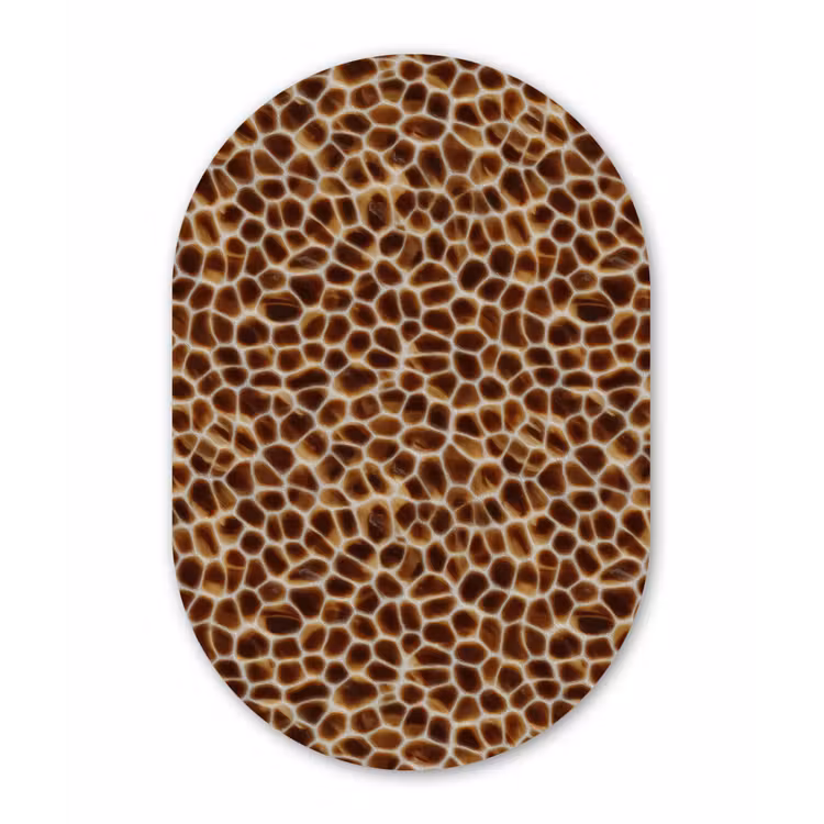 Schildpad - Bruin - Patroon Wandcirkel Ovaal Forex klein 630 -3d