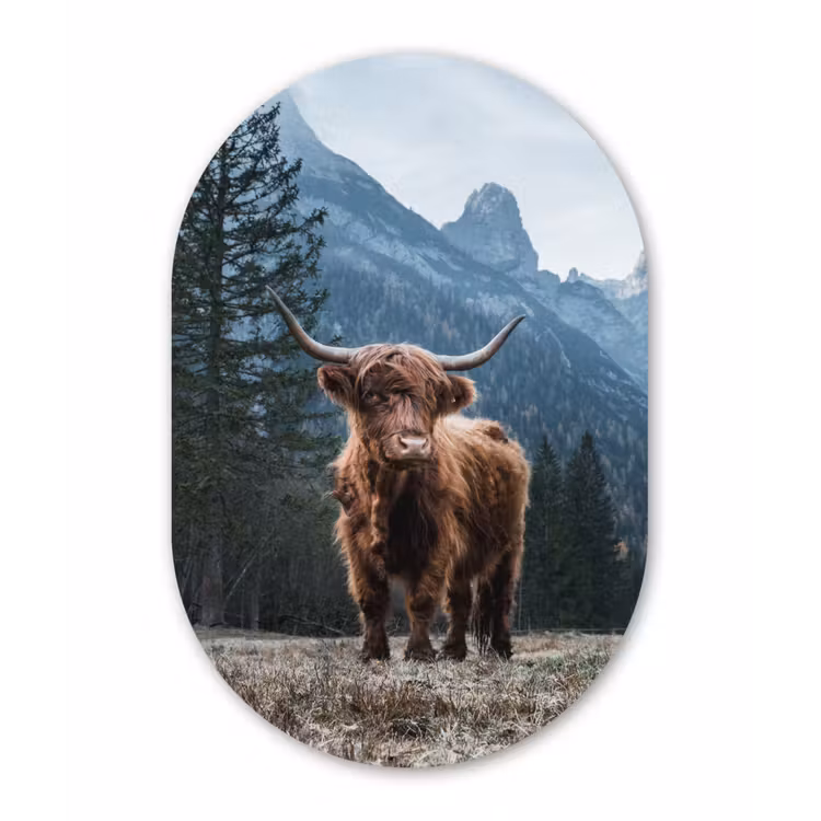 Schotse hooglander - Berg - Landschap - Bomen - Koe - Natuur Wandcirkel Ovaal Forex klein -3d