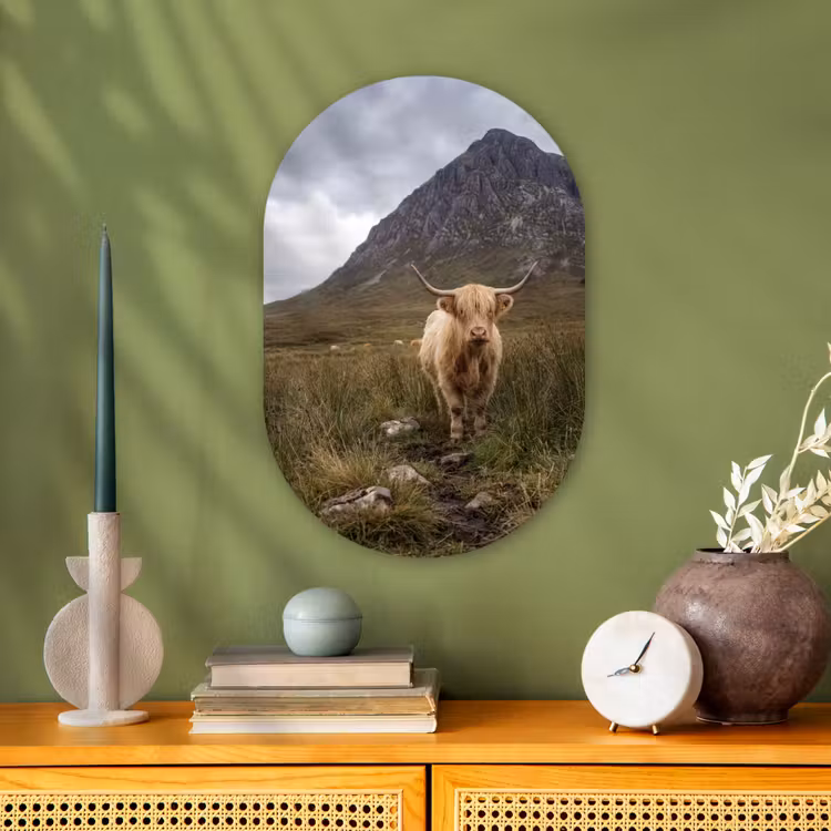 Schotse hooglander - Bergen - Grasveld Wandcirkel Ovaal Forex klein -sfeer2