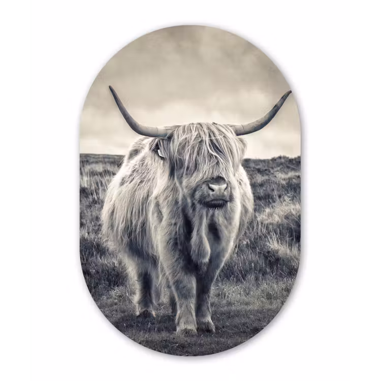 Schotse hooglander - Dieren - Wolken - Koe - Natuur Wandcirkel Ovaal Forex klein -3d