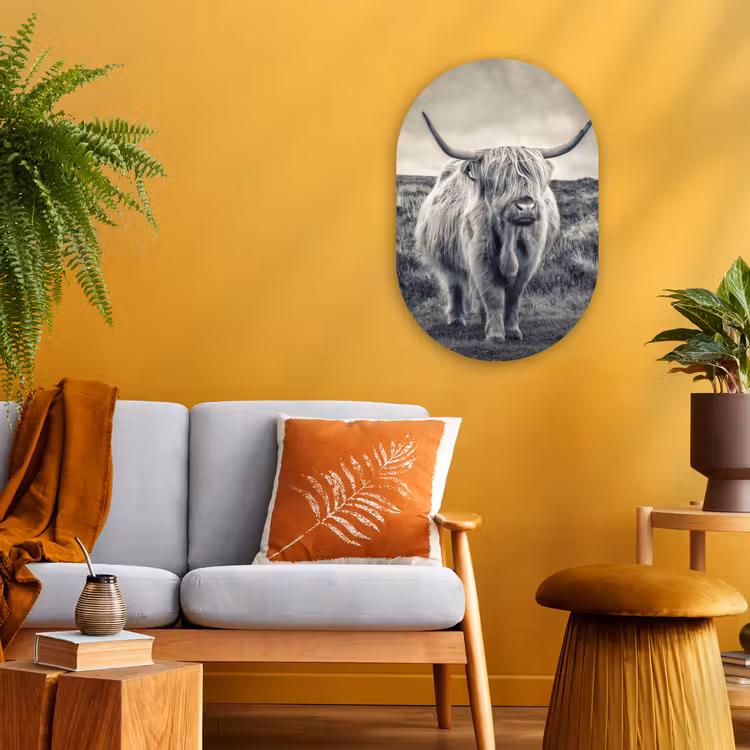 Schotse hooglander - Dieren - Wolken - Koe - Natuur Wandcirkel Ovaal Forex klein -sfeer4