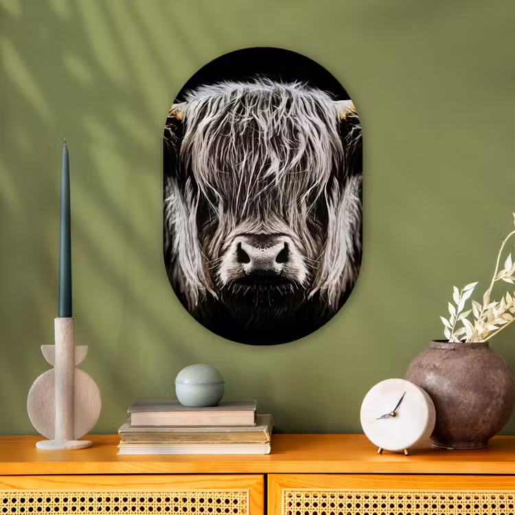 Schotse hooglander - Goud - Hoorns - Zwart wit - Koe - Dieren Wandcirkel Ovaal Forex klein -sfeer2