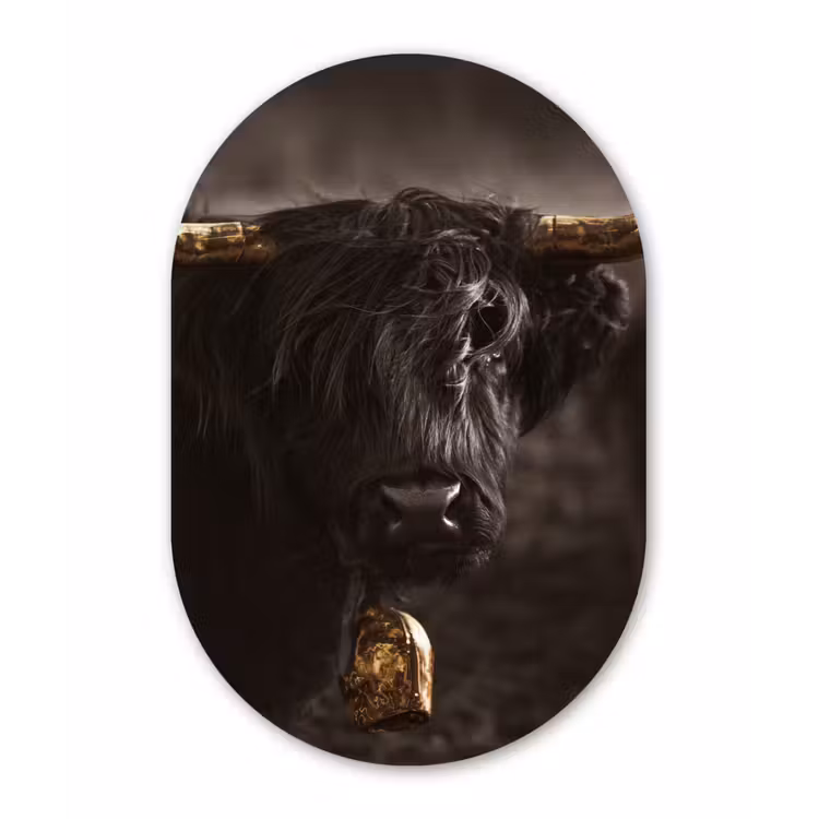 Schotse hooglander - Goud - Koebel - Hoorns - Dieren Wandcirkel Ovaal Forex klein -3d