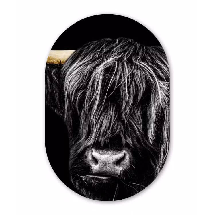 Schotse hooglander - Goud - Vacht - Dieren - Koe Wandcirkel Ovaal Forex klein -3d