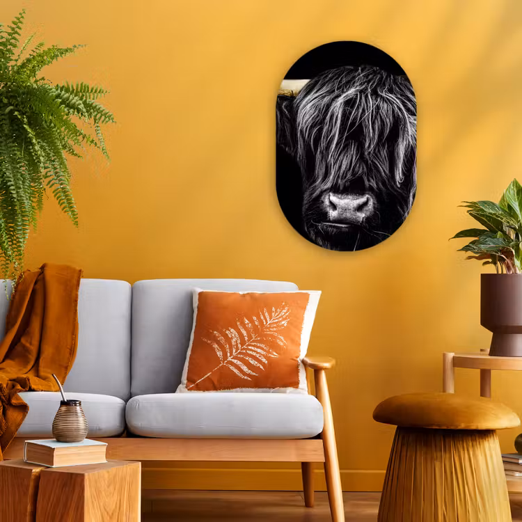 Schotse hooglander - Goud - Vacht - Dieren - Koe Wandcirkel Ovaal Forex klein -sfeer4