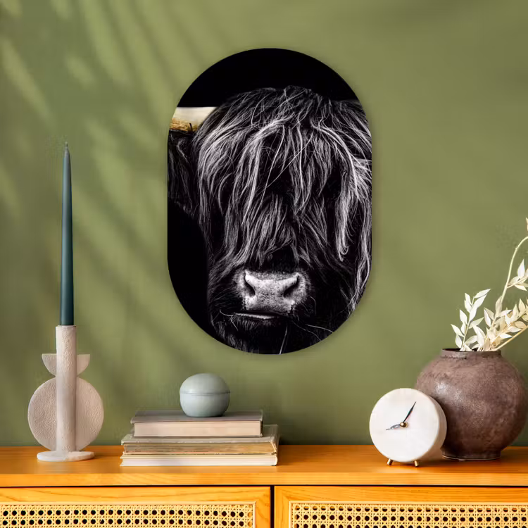 Schotse hooglander - Goud - Vacht - Dieren - Koe Wandcirkel Ovaal Forex klein -sfeer2