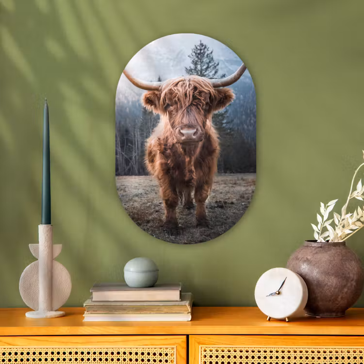 Schotse hooglander - Koe - Dieren - Berg - Natuur Wandcirkel Ovaal Forex klein -sfeer2