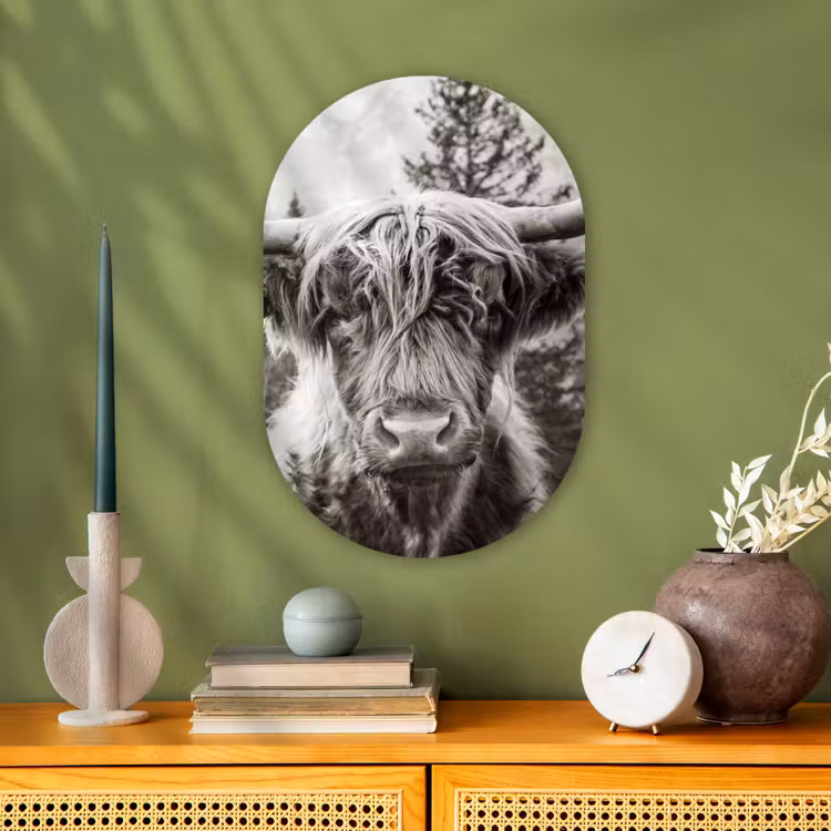 Schotse hooglander - Koe - Dieren - Zwart - Wit Wandcirkel Ovaal Forex klein -sfeer2