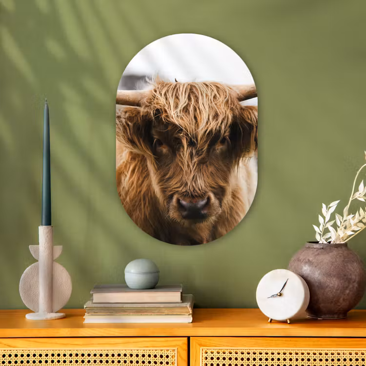 Schotse Hooglander - Koe - Gras - Dieren - Natuur Wandcirkel Ovaal Forex klein -sfeer2