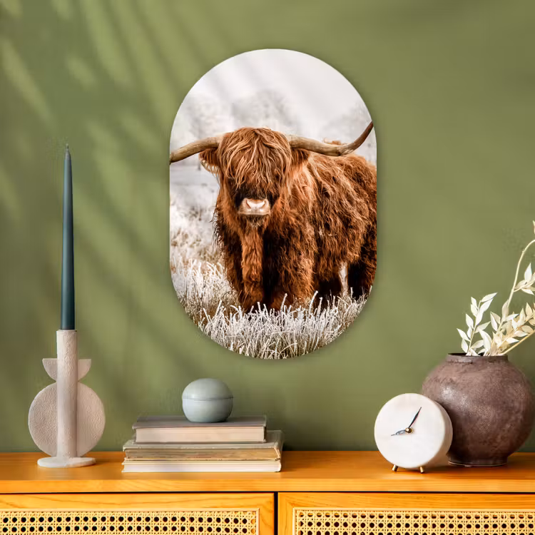 Schotse hooglander - Koe - Dieren - Natuur - Heide Wandcirkel Ovaal Forex klein -sfeer2