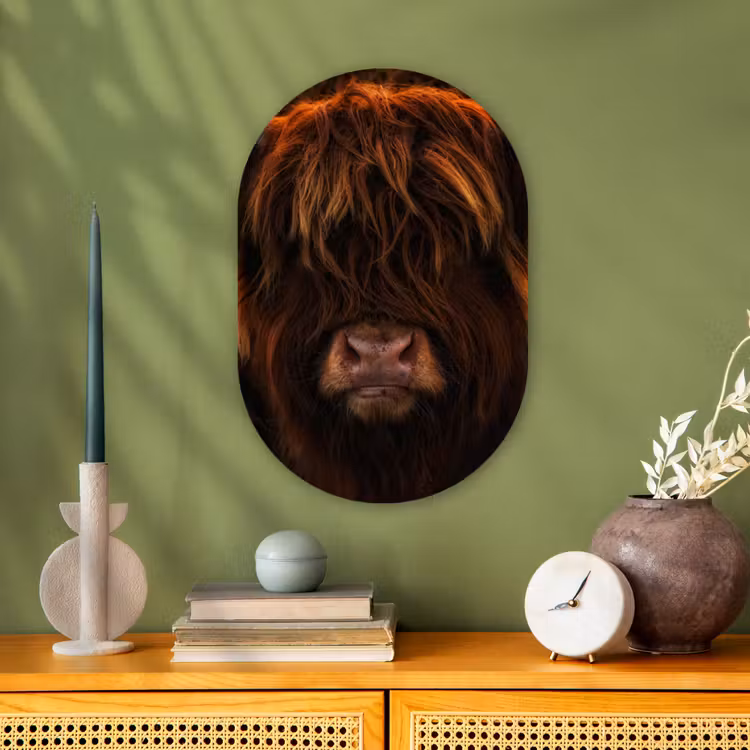 Schotse Hooglander - Koe - Portret - Dieren Wandcirkel Ovaal Forex klein -sfeer2