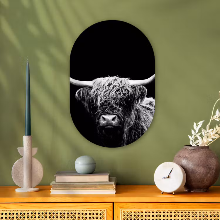 Schotse Hooglander - Koe - Zwart - Wit - Dieren Wandcirkel Ovaal Forex klein -sfeer2