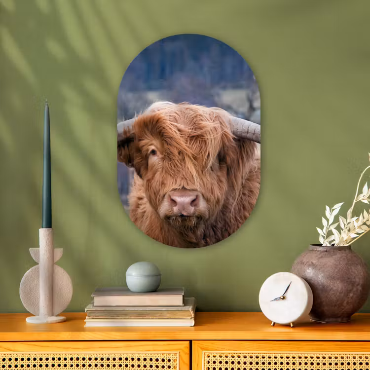 Schotse Hooglander - Koeienkop - Landschap - Natuur - Koe Wandcirkel Ovaal Forex klein -sfeer2