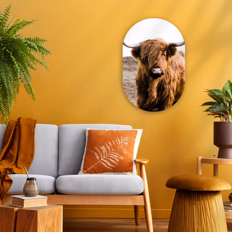 Schotse hooglander - Landschap - Koe - Bruin - Dieren - Natuur Wandcirkel Ovaal Forex klein -sfeer4