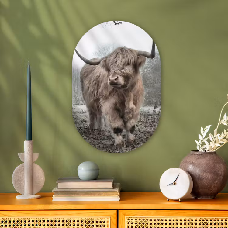 Schotse hooglander - Natuur - Herfst - Dieren - Wild - Bos Wandcirkel Ovaal Forex klein -sfeer2