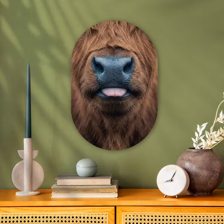 Schotse hooglander - Neus - Bruin Wandcirkel Ovaal Forex klein -sfeer2