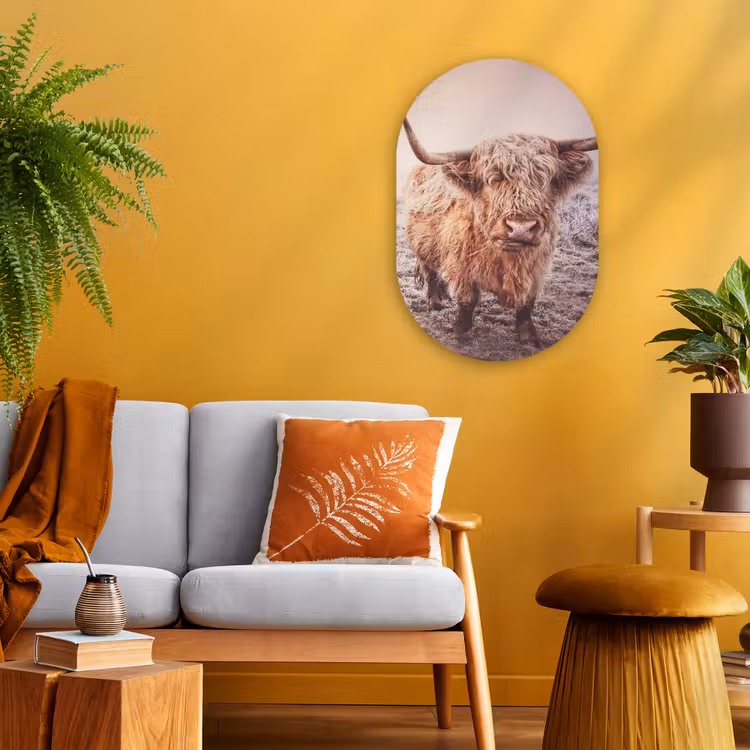 Schotse hooglanders - Licht - Lucht - Natuur Wandcirkel Ovaal Forex klein -sfeer4