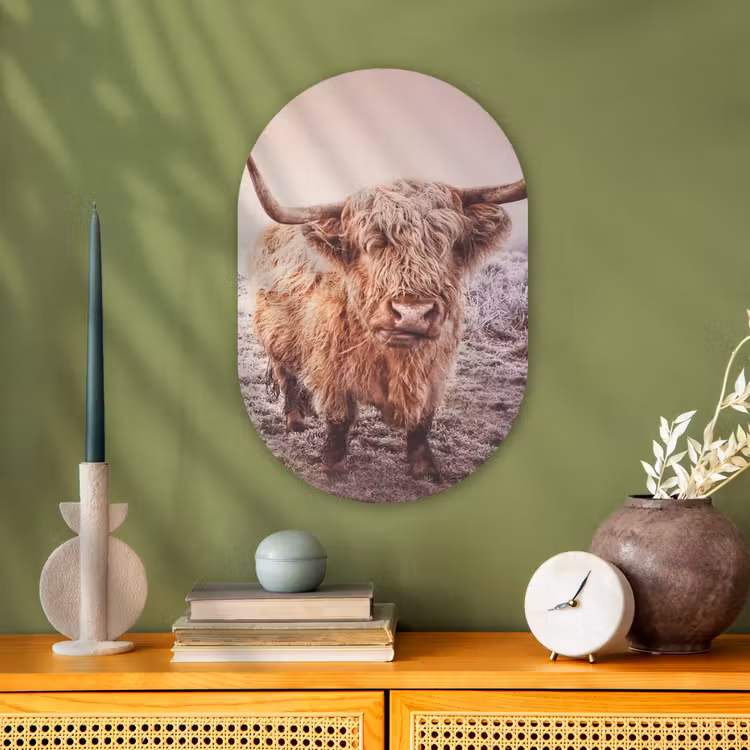 Schotse hooglanders - Licht - Lucht - Natuur Wandcirkel Ovaal Forex klein -sfeer2