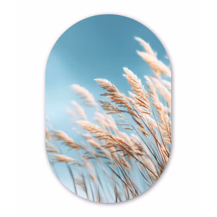 Siergras - Wind - Lichtbruin Wandcirkel Ovaal Forex klein -3d