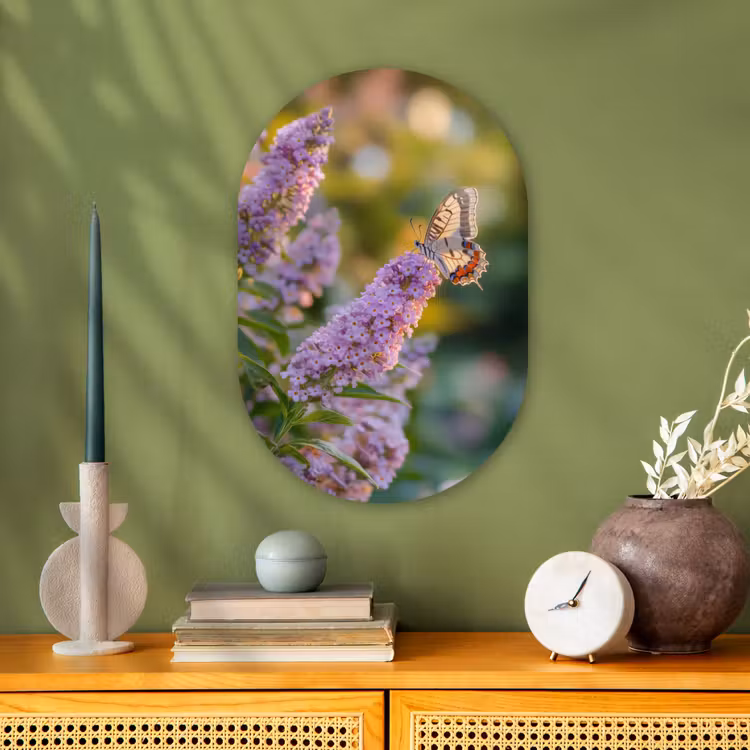 Sierlijke - Vlinder - Paarse - Bloemen Wandcirkel Ovaal Forex klein -sfeer2