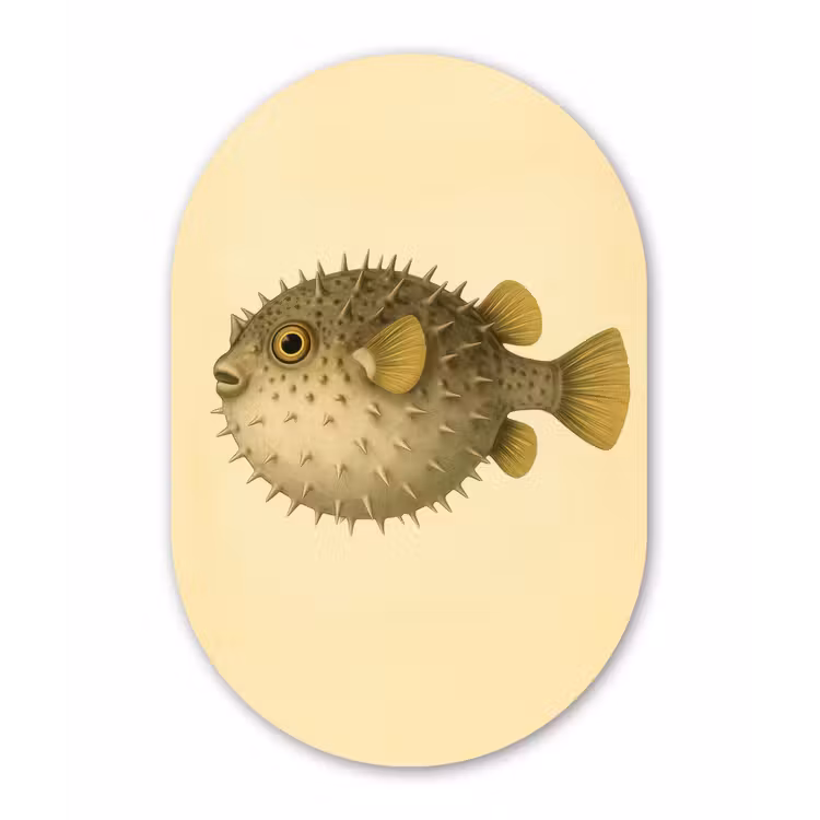 Stekels - Vis - Opgeblazen - Bruin Wandcirkel Ovaal Forex klein -3d