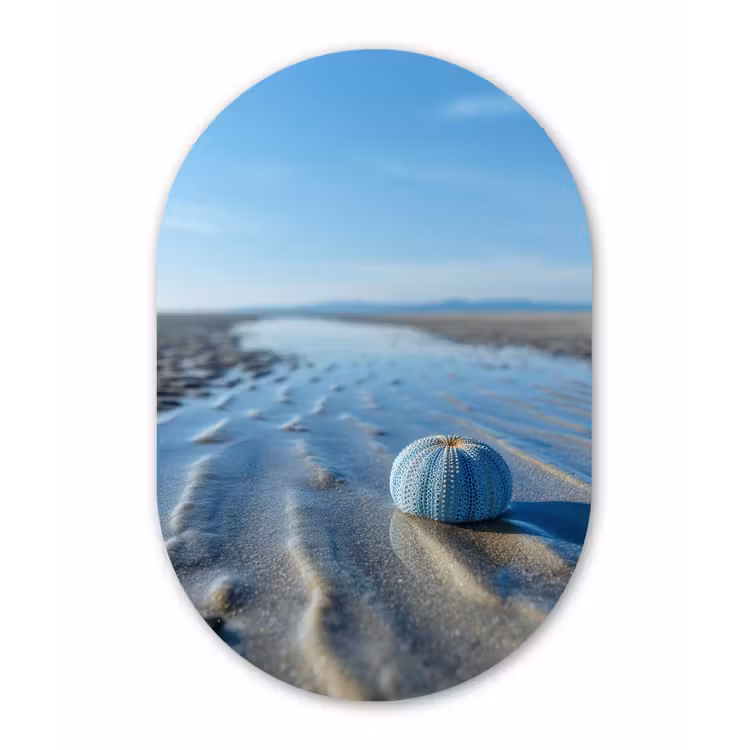 Strand - Schild - Water - Blauw Wandcirkel Ovaal Forex klein -3d