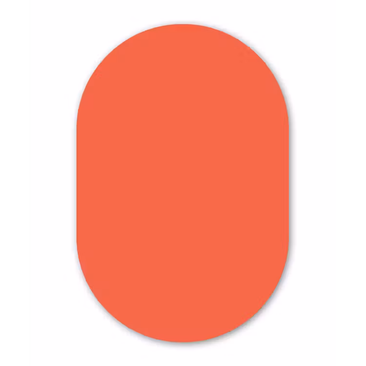 Sunset - Salmon - Oranje Wandcirkel Ovaal Forex klein 630 -3d