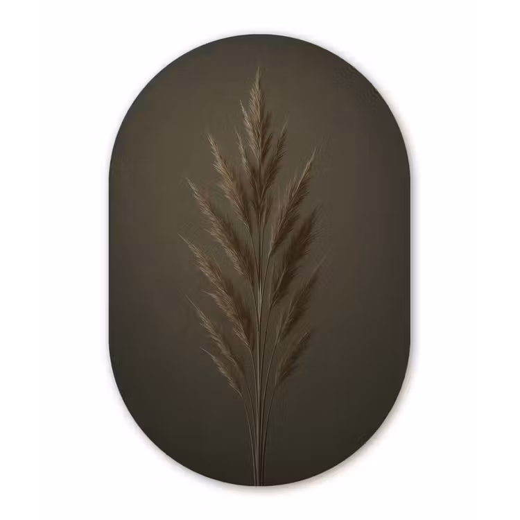 Tak - Pluimgras - Donkerbruin Wandcirkel Ovaal Forex klein -3d