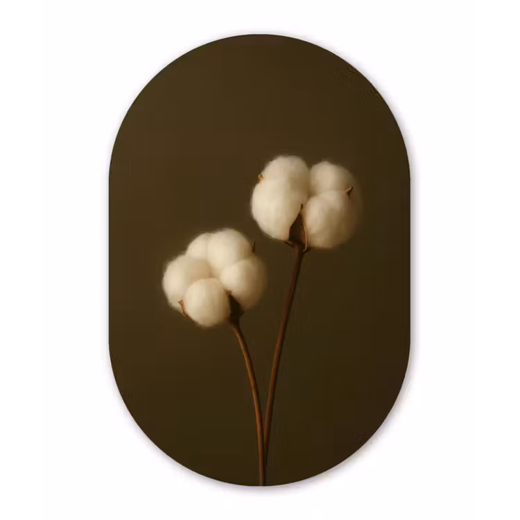 Takken - Katoen - Wit - Bollen Wandcirkel Ovaal Forex klein -3d