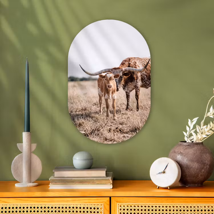 Texas Longhorn - Kalf - Weide - Dieren Wandcirkel Ovaal Forex klein -sfeer2