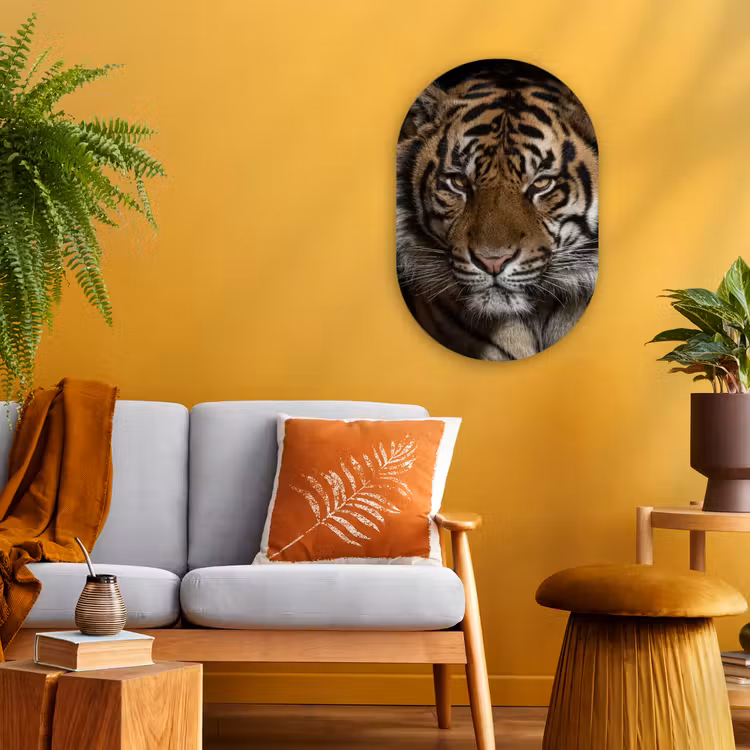 Tijger - Wilde dieren - Portret Wandcirkel Ovaal Forex klein -sfeer4