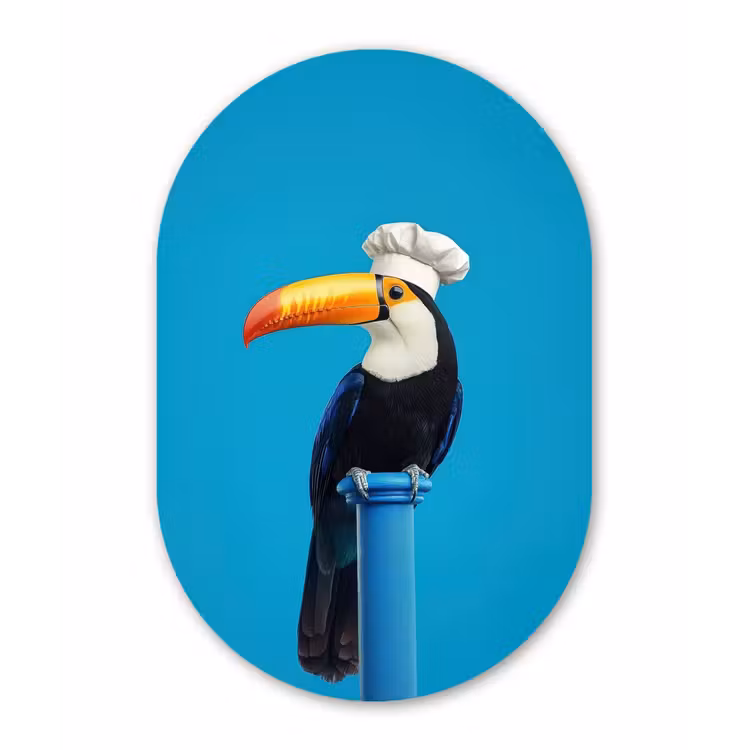 Tucan - Sokkel - Vogel - Koksmuts Wandcirkel Ovaal Forex klein -3d