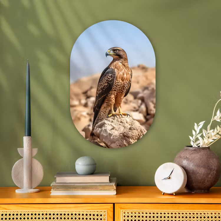 Valk - Vogel - Rots - Macht Wandcirkel Ovaal Forex klein -sfeer2