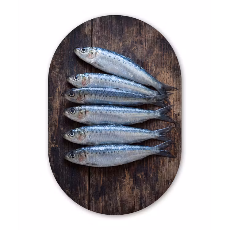 Muurovaal - Vis - Hout - Eten - Vis - Hout - Eten Wandcirkel Ovaal Forex klein